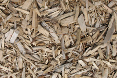 biomass boilers Alveston